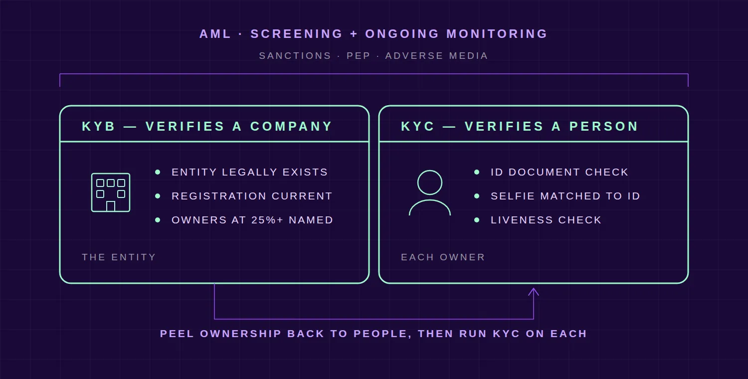 KYB and KYC side by side under a single AML umbrella: KYB verifies the company — that the entity legally exists, that its registration is current and that owners at 25%+ are named — while KYC verifies each person through an ID document check, a selfie matched to the ID and a liveness check, with an arrow showing ownership peeled back to people before KYC runs on each of them, and AML screening for sanctions, PEP and adverse media spanning both.